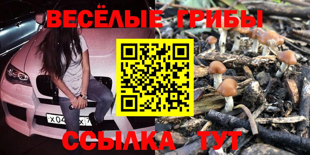 Красноуфимск  Галлюциногенные грибы ЛСД  Галлюциногенные грибы Psilocybe  Вход с VPN 